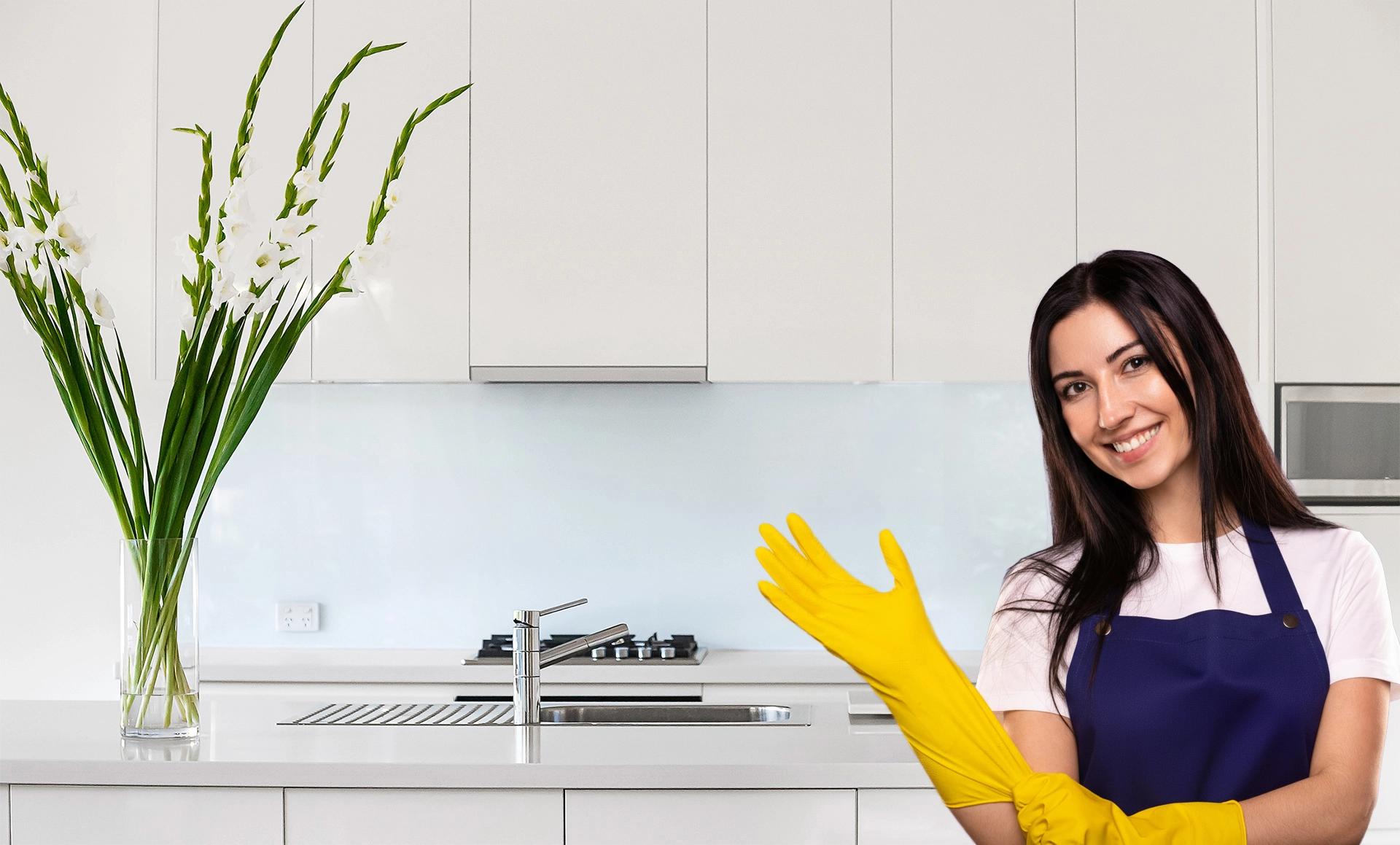 Professional cleaning service