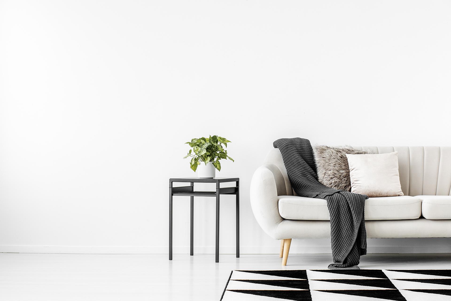 Clean minimalist living room with white couch and plant